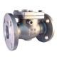 CI NRV Non Return Valve/Reflux Valve Flange End SS Working Parts (Wj-Neta)